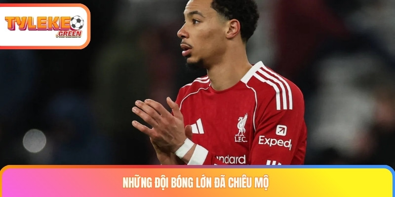 Hugo Ekitike trong các chặng sự nghiệp tại Reims và PSG