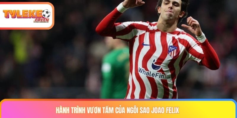 Joao Felix Là Ai? Sự Nghiệp, Phong Cách & Các Bến Đỗ Joao Felix trong hành trình phát triển sự nghiệp