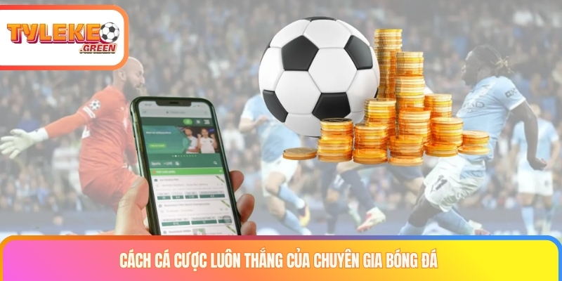 Kèo Thẻ Phạt Là Gì? Cách Tính Cards, Odds & Quy Tắc Checklist khi phân tích kèo thẻ phạt